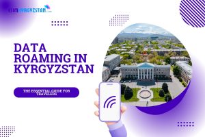 Data Roaming in Kyrgyzstan